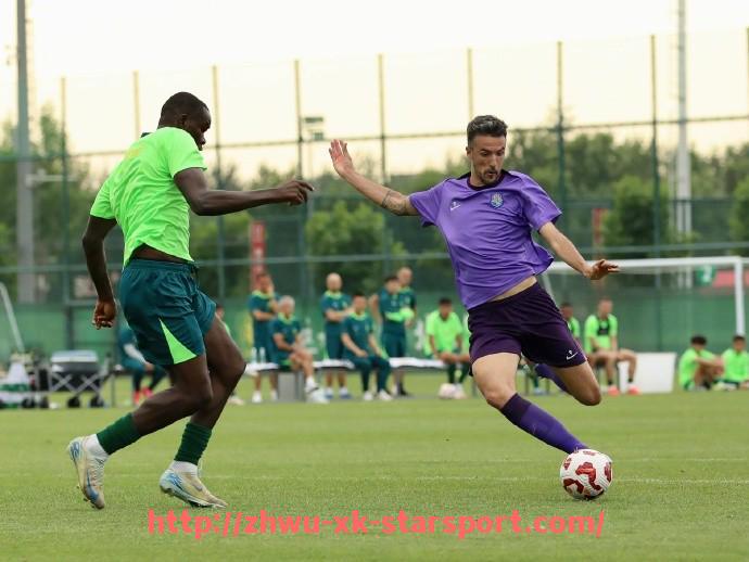 星空体育-法甲赛季最佳门将评选及门将表现总结